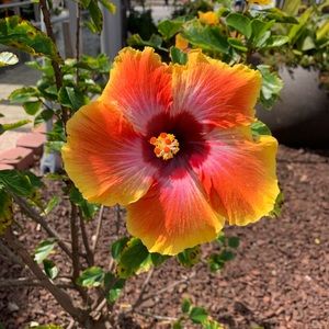 Meet your Posher, Annie